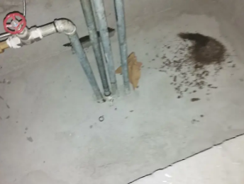 上饶卫生间测漏水价格明细